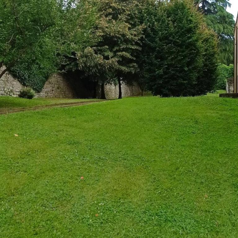 Como per Voi-Tre minuti dal lago - Appartamento con 1 Camera da Letto - 28