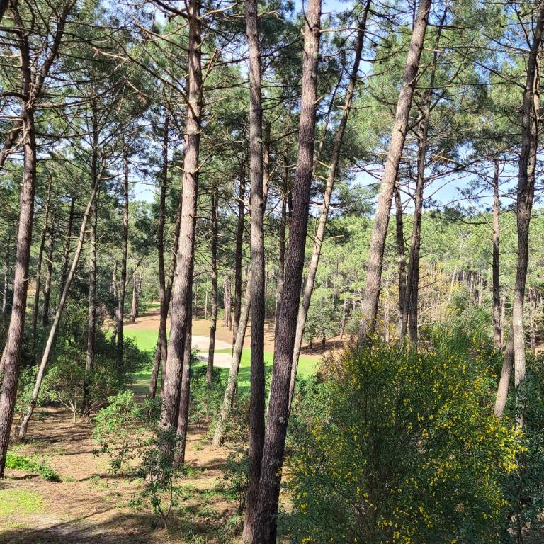Appartement Domaine du Golf avec Piscine - One-Bedroom Apartment - 22