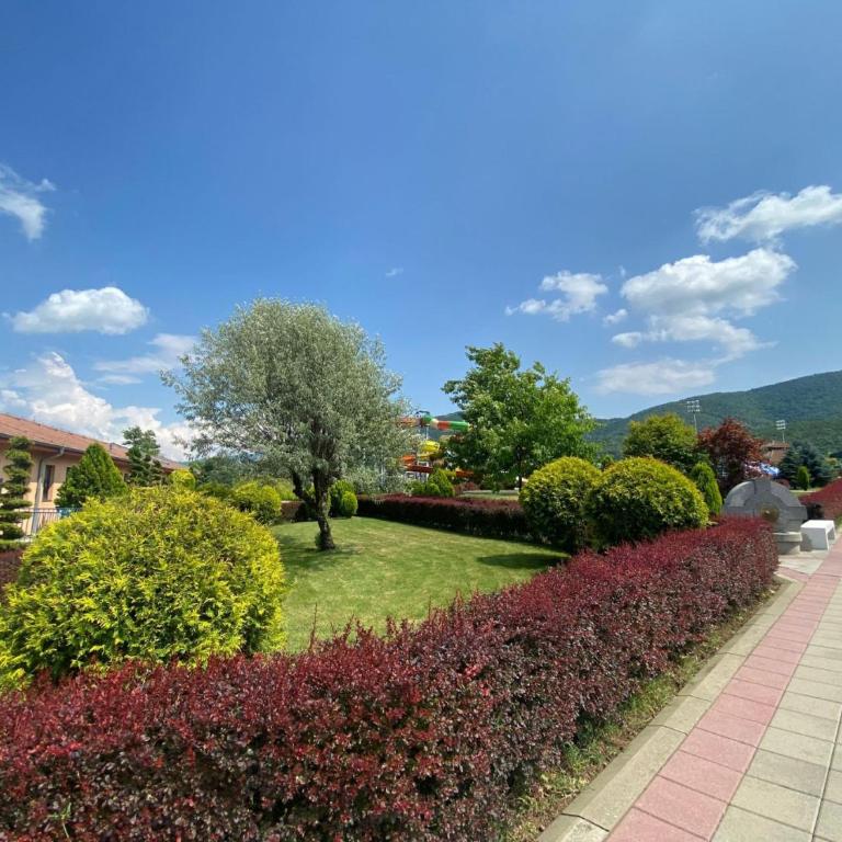 Apartman Damjan Sokobanja - Apartman sa 1 Spavaćom Sobom - 44