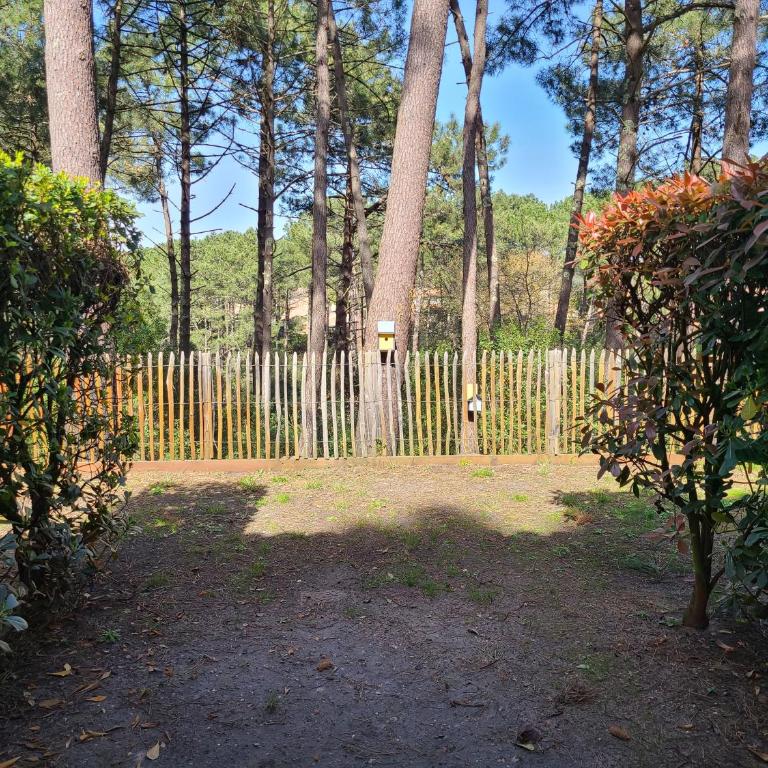 Appartement Domaine du Golf avec Piscine - One-Bedroom Apartment - 20