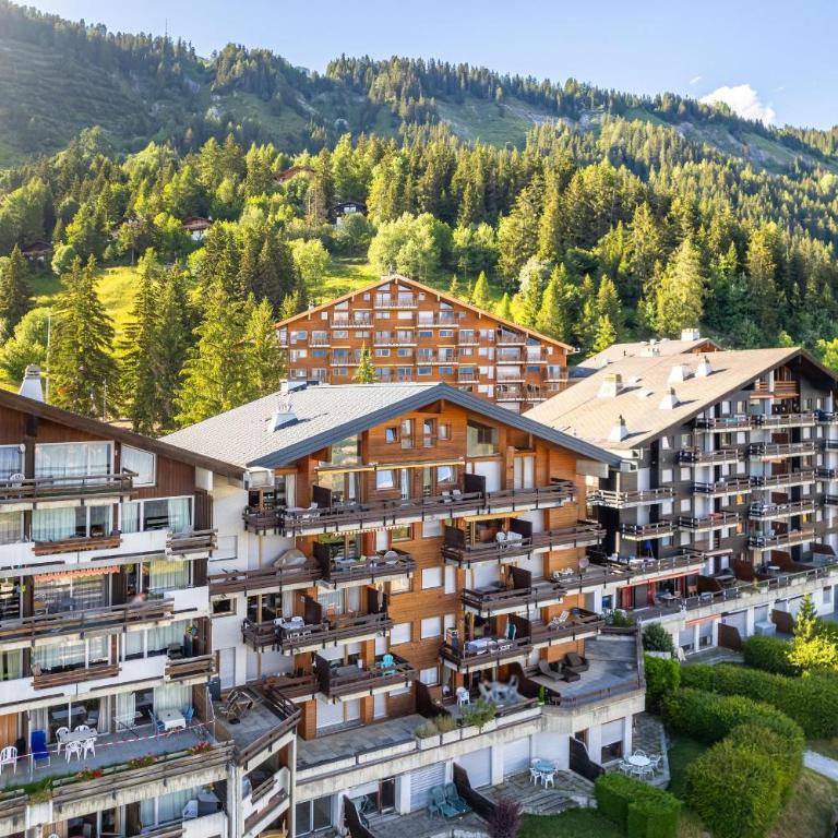 Superbe appartement, en 2 parties, au centre d'Anzère - Apartment - 31