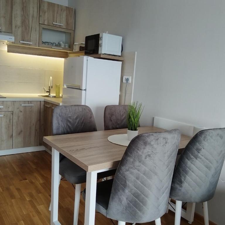 SPA 25 - One-Bedroom Apartment - 11