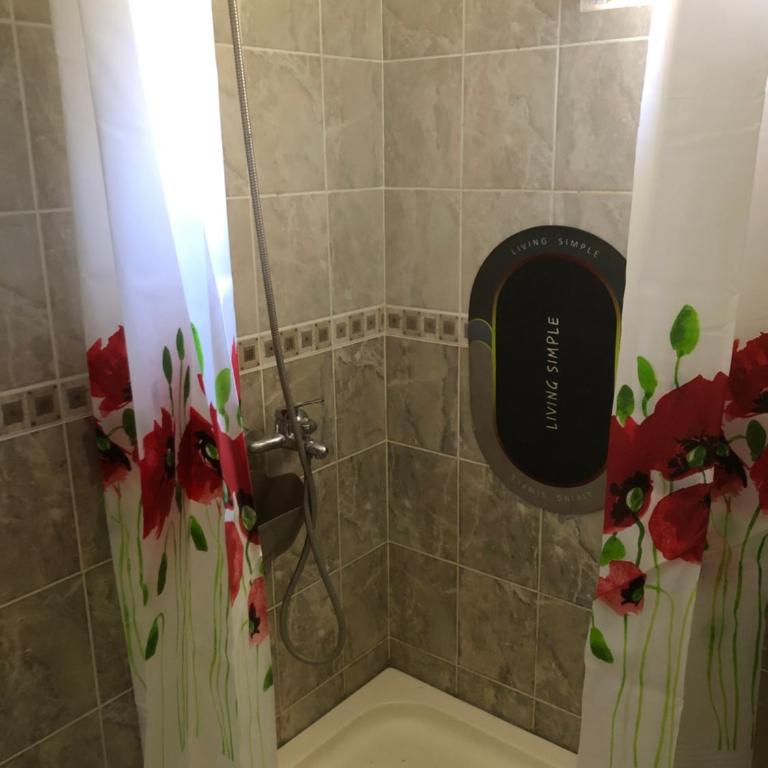 Ćetković - Apartman sa 1 Spavaćom Sobom - 12