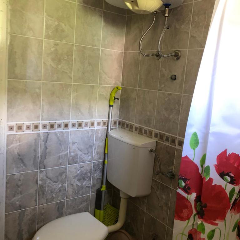 Ćetković - Apartman sa 1 Spavaćom Sobom - 11