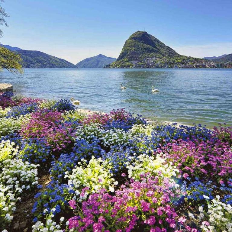 Violet Suite 5 Lugano City for 3 Guest -By EasyLife Swiss - Appartamento con 1 Camera da Letto - 7