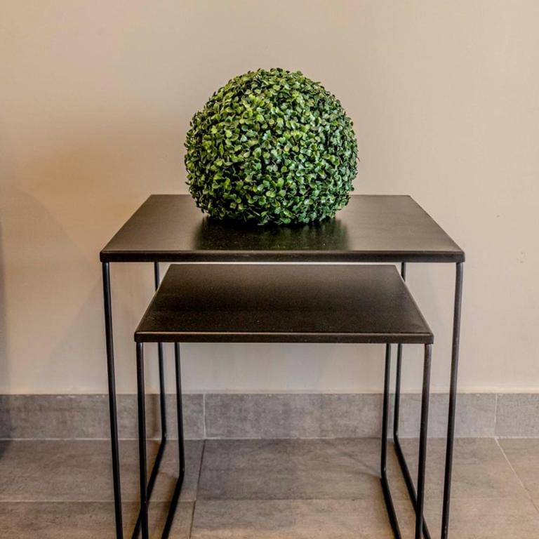 Departamento Moreno Park - Apartamento de 1 dormitorio - 22