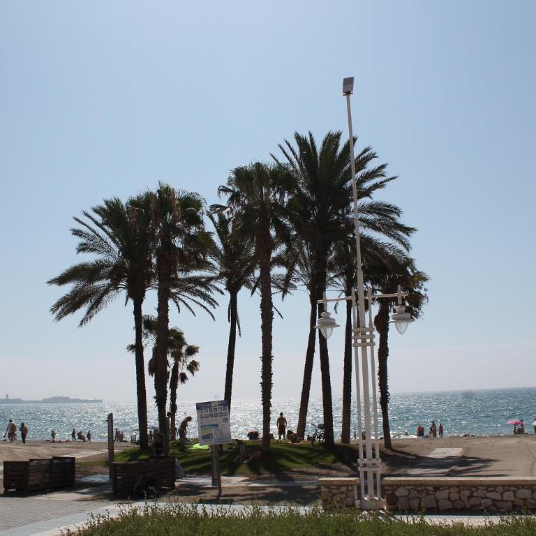 Paseo Maritimo - Estudio - 14