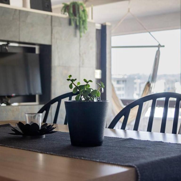 Departamento muy central, a pasos de playa, bares y terminal - Apartamento de 1 dormitorio - 27
