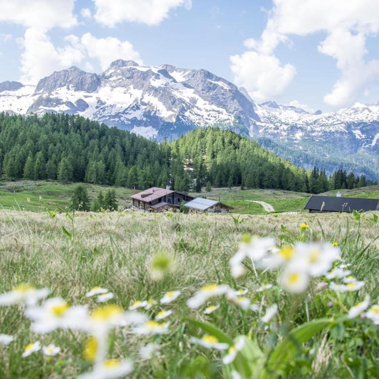 Ferienwohnung Watzmannblick - Apartment mit Blick auf die Berge - 17