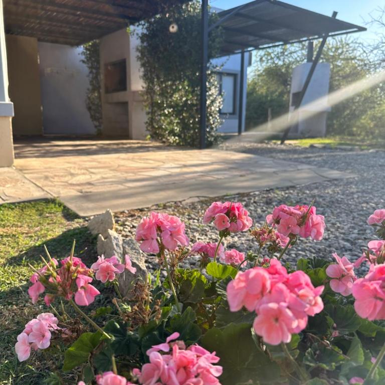 Villa Bonita Cabañas - Casa con 1 dormitorio - 35
