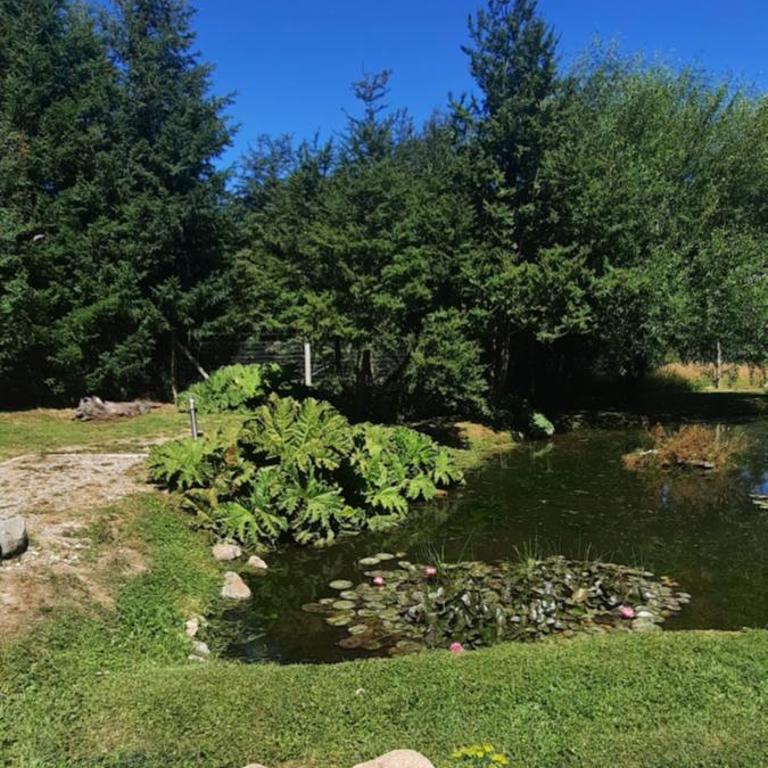 La Piramide Bariloche - Chalet - 15