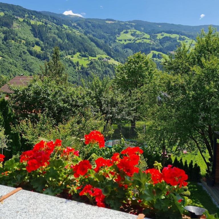 Apartment in Aschau with Zillertal Views - Two-Bedroom Apartment - 9