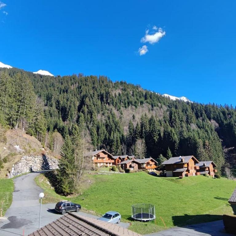 Chalet Cannon- Mountain Getaway - Chalet - 27