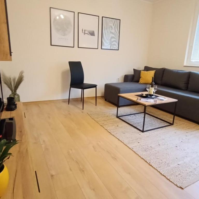 Apartman Taca - One-Bedroom Apartment - 6