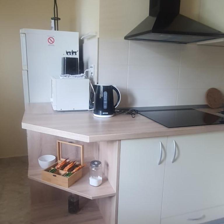 Apartman Taca - One-Bedroom Apartment - 16