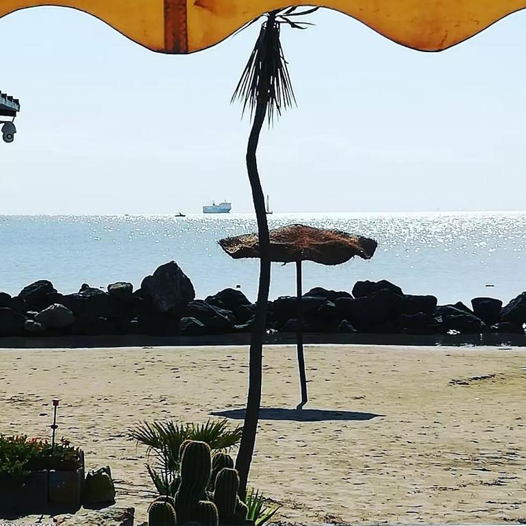Un passo dal mare e dalla città. - Casa con 2 Camere da Letto - 13