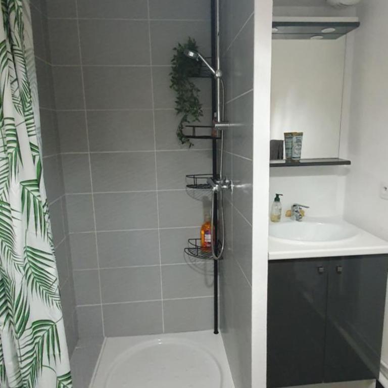 Appartement Centre de La Teste - Appartement 1 Chambre - 31
