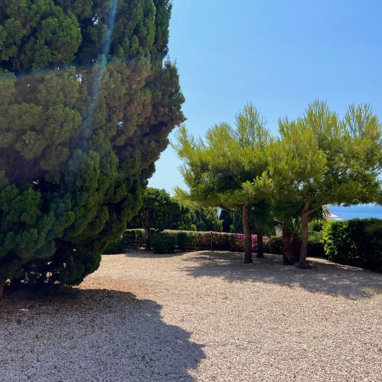 Apartamento Los Castillos de Calpe - Inmodream Calpe - Apartment - 25