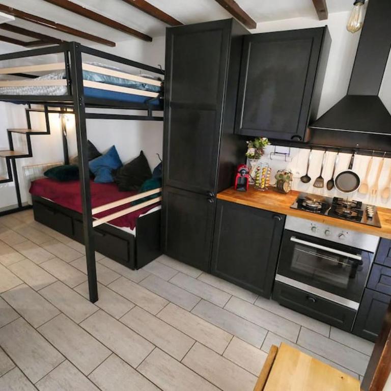 Celui qui passait le week-end à Disneyland - Appartement 1 Chambre - 4