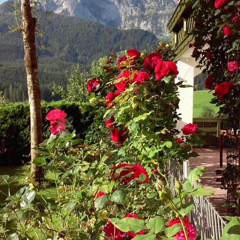 Landhaus Hirterhütte - Two-Bedroom Apartment - 30