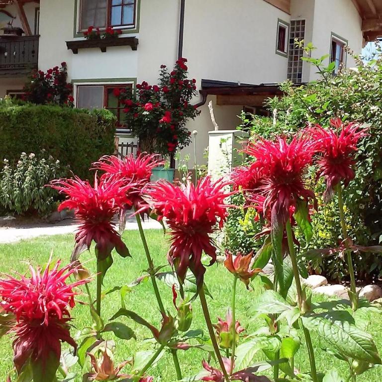 Landhaus Hirterhütte - Two-Bedroom Apartment - 26