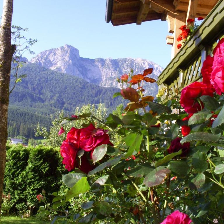 Landhaus Hirterhütte - Two-Bedroom Apartment - 31