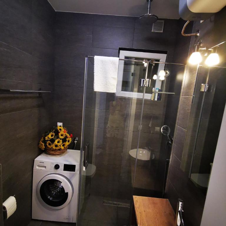 Apartman Jovana 2 - Apartman sa 1 Spavaćom Sobom - 21