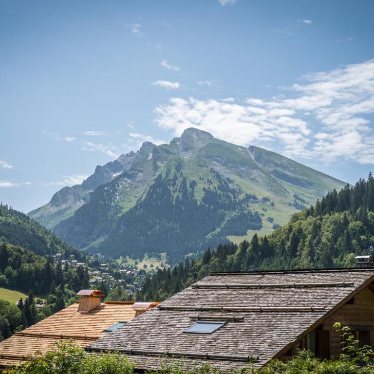 Riante 6 - Appartement proche du village et des pistes - Apartamento de 1 dormitorio - 16