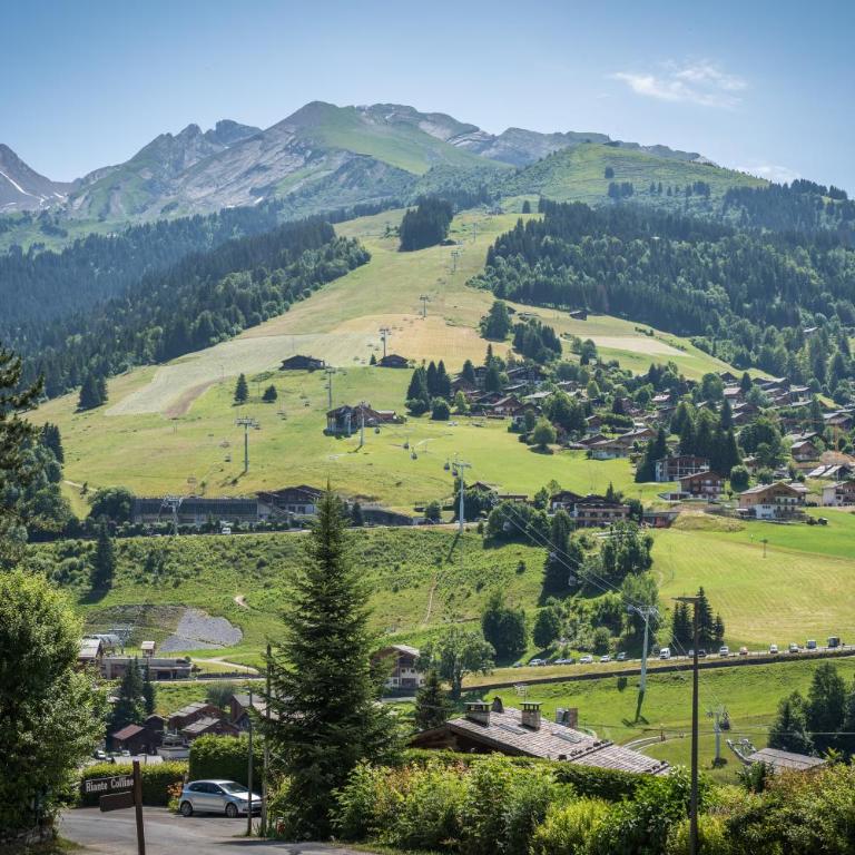 Riante 6 - Appartement proche du village et des pistes - Apartamento de 1 dormitorio - 8