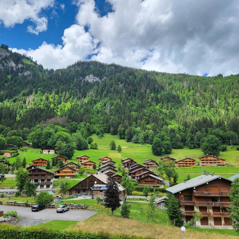 Cocon à chatel - Studio - Vue sur Montagne - 15
