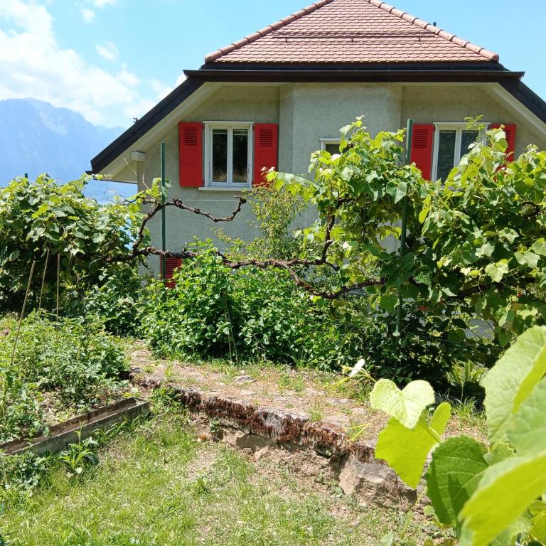 La plus belle vue du lac Léman - Doppelzimmer mit Seeblick - 20
