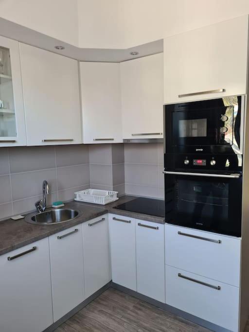 Cozy studio apartment in Petrovac - Studio Apartman - 11