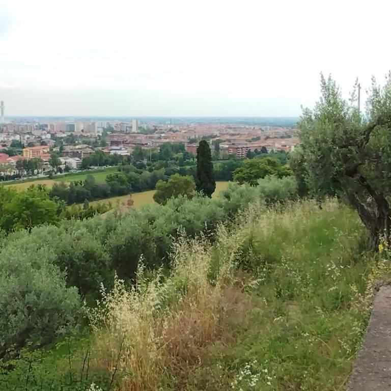 Relax fra le colline di Verona - Appartamento con Terrazza - 22