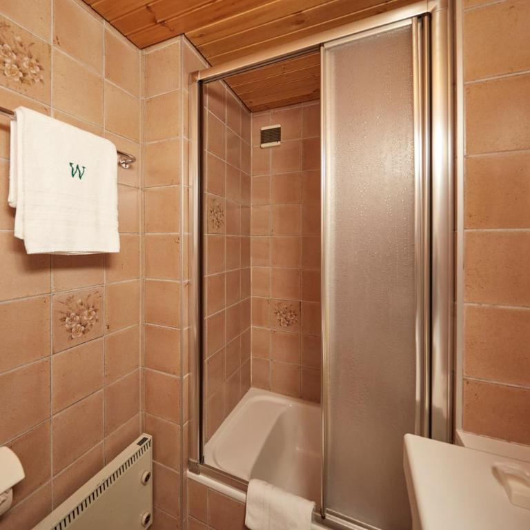 Hotel Waldhaus - Budget Einzelzimmer - 8