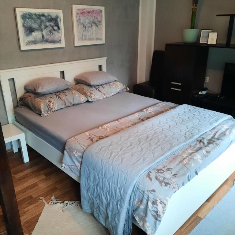 Apartmani Biljana Lazić - Studio Apartman - 57