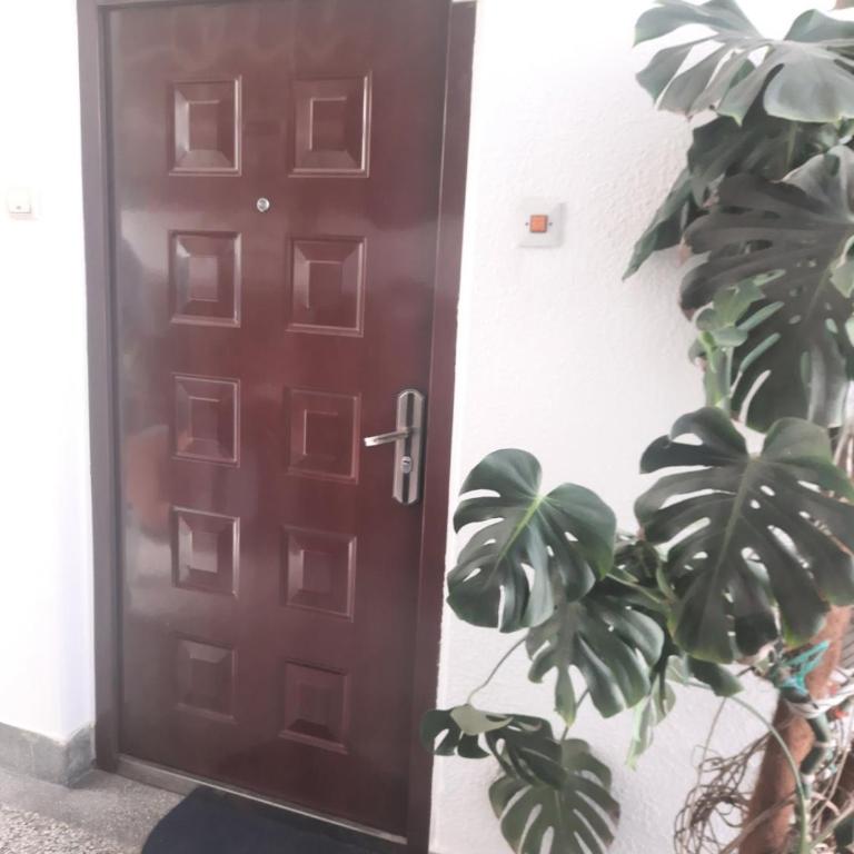 Nena Apartman - Apartman sa 1 Spavaćom Sobom - 1