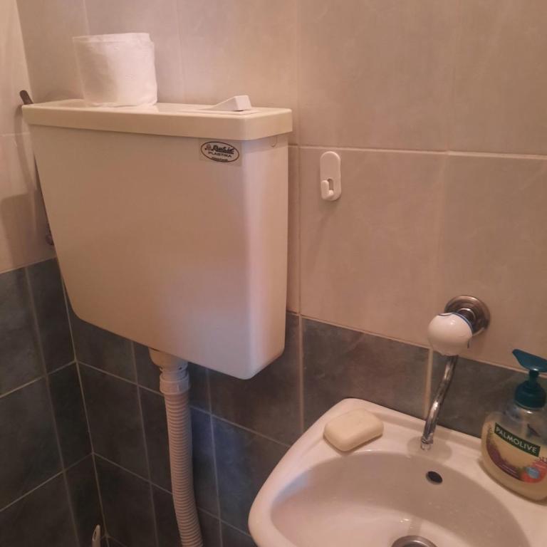 Nena Apartman - Apartman sa 1 Spavaćom Sobom - 13