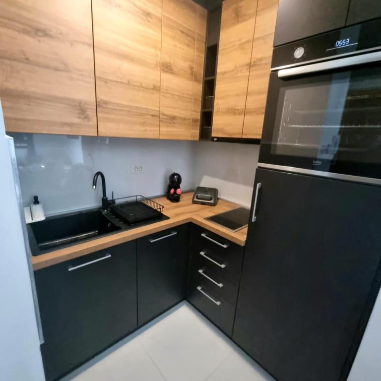 Vila Peković Blue A17 sa garažom-Zlatibor - Apartman sa 1 Spavaćom Sobom - 16