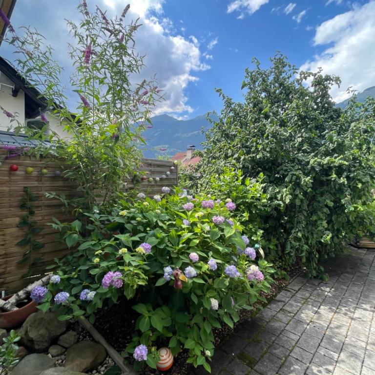 Ferienwohnung LISL - Apartment mit 1 Schlafzimmer - 17
