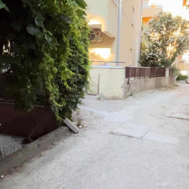 Apartman Luka Budva - Apartman sa 1 Spavaćom Sobom - 26