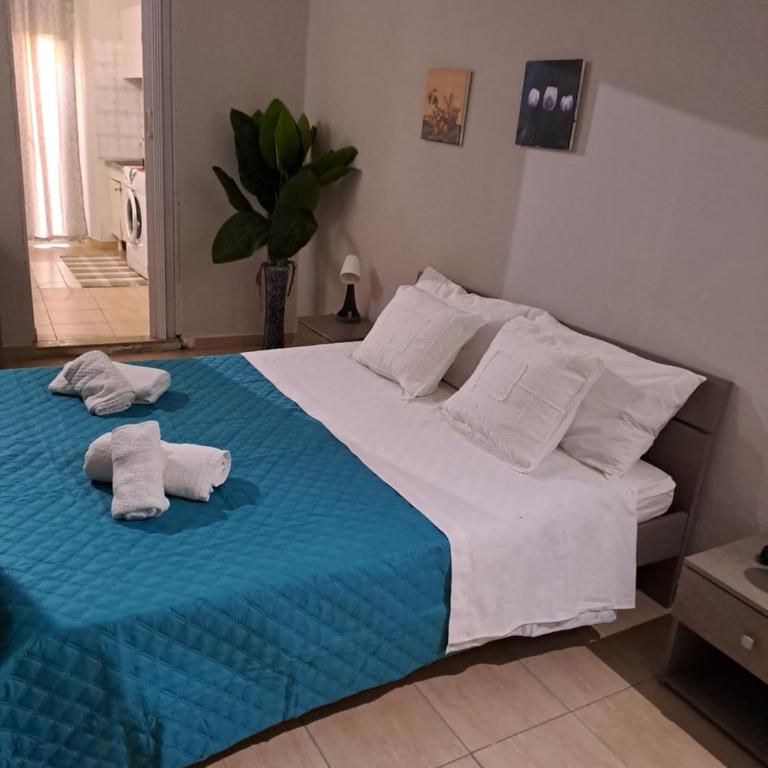 Casa sofi' - One-Bedroom Apartment - 1