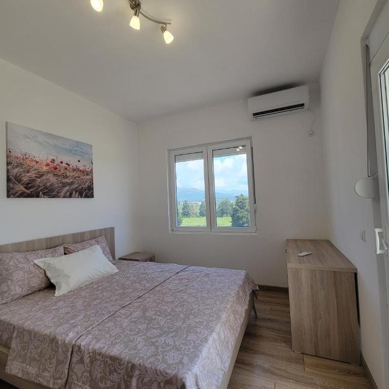 Angie's - Two-Bedroom Apartment - 5
