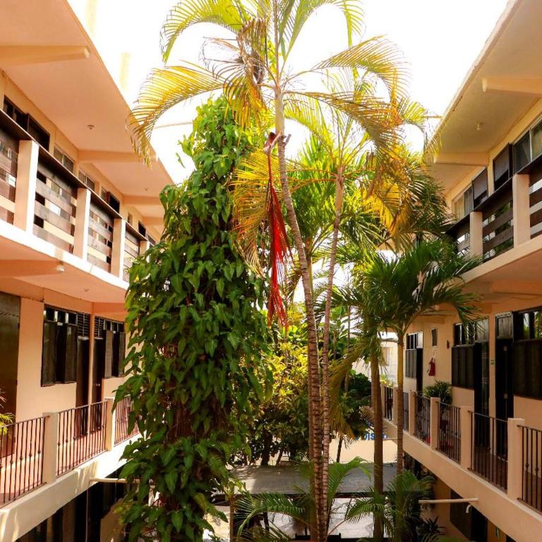 Hotel Rivera Del Mar - Habitación Doble Deluxe - 4