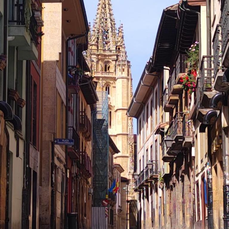 Oviedo Centro- Parking gratuito - Apartamento de 2 dormitorios - 56