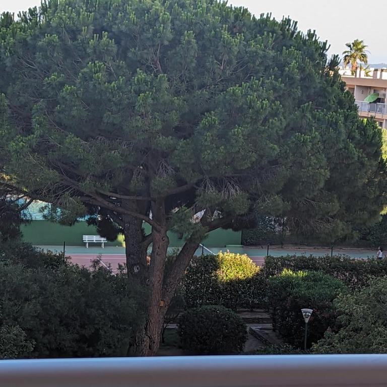 Studio climatisé avec coin nuit 150m de la plage - Appartamento con 1 Camera da Letto - 13