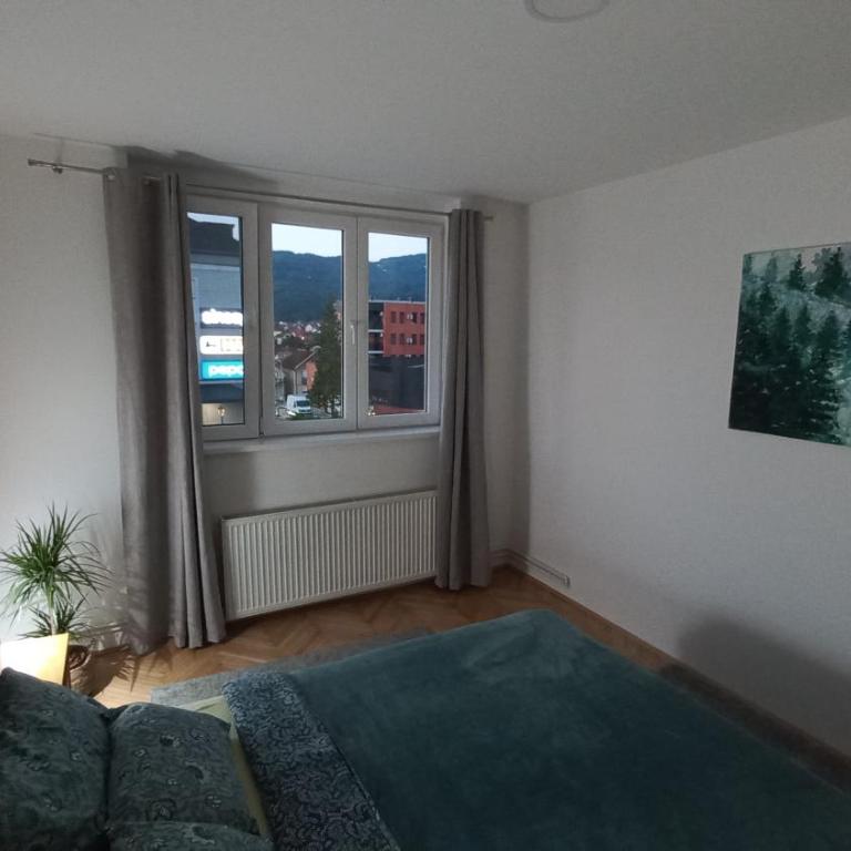 Corso Residence - Apartman sa 1 Spavaćom Sobom - 6