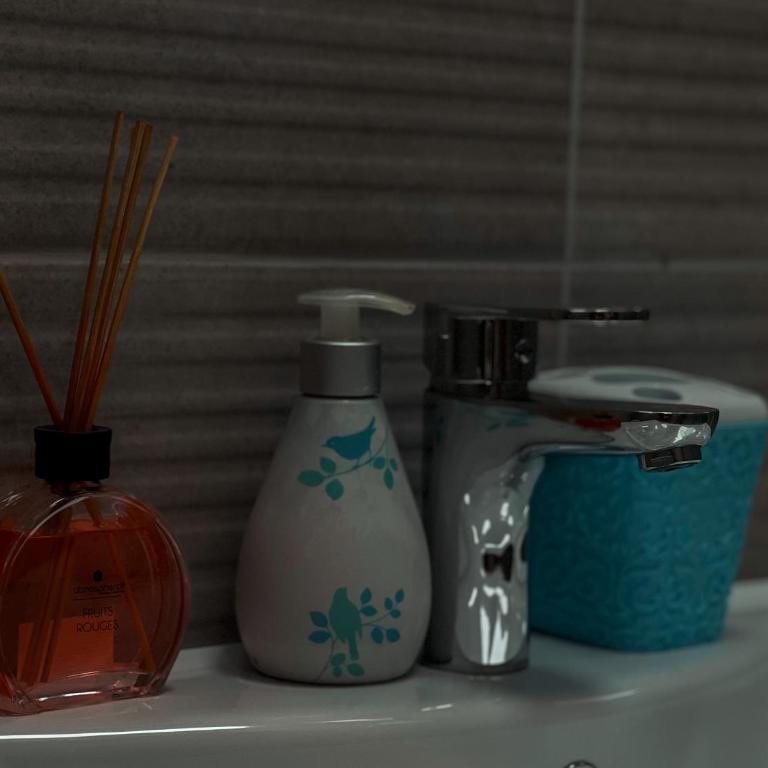 Apartman Stasija - Apartman sa 1 Spavaćom Sobom - 10