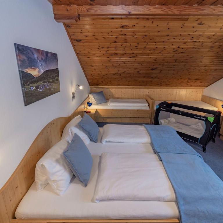 Haus Scheiblauer - Apartment mit 1 Schlafzimmer und Bergblick - 2