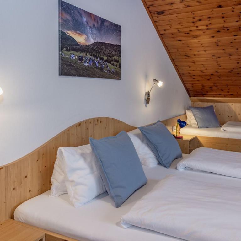 Haus Scheiblauer - Apartment mit 1 Schlafzimmer und Bergblick - 4