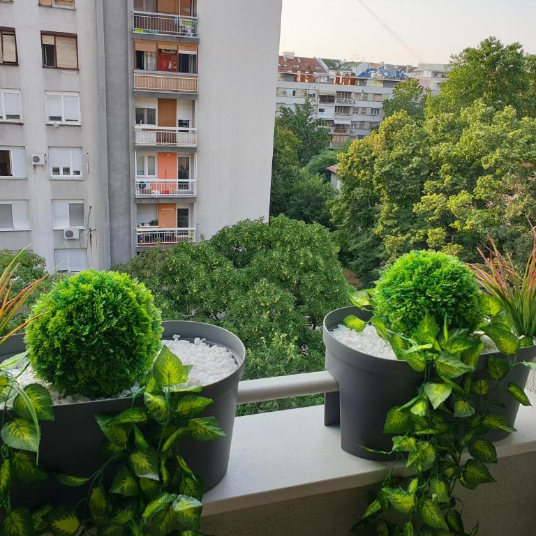 Aurora 2 - Apartman sa 1 Spavaćom Sobom - 4